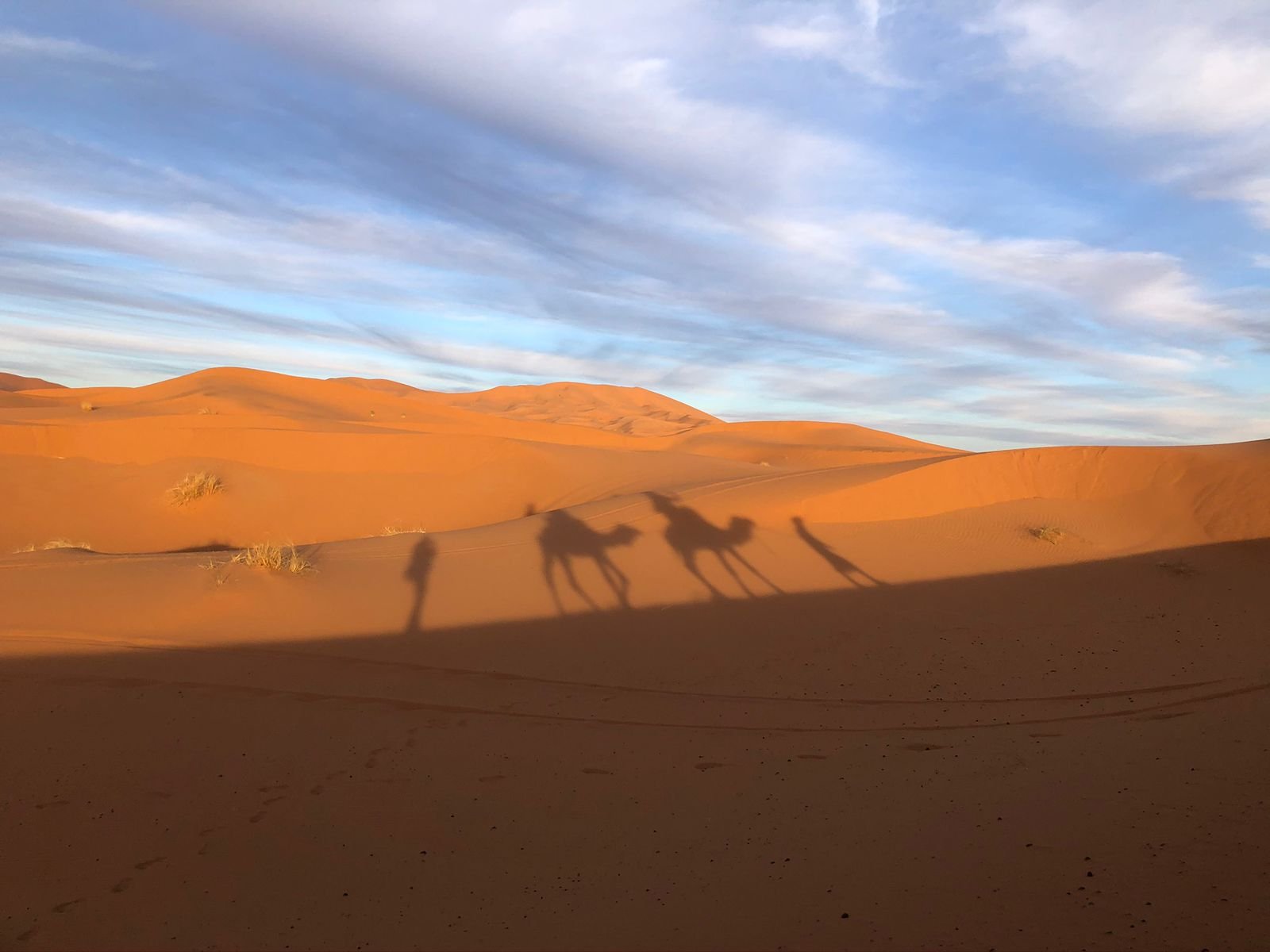 Into the Dunes of Merzouga