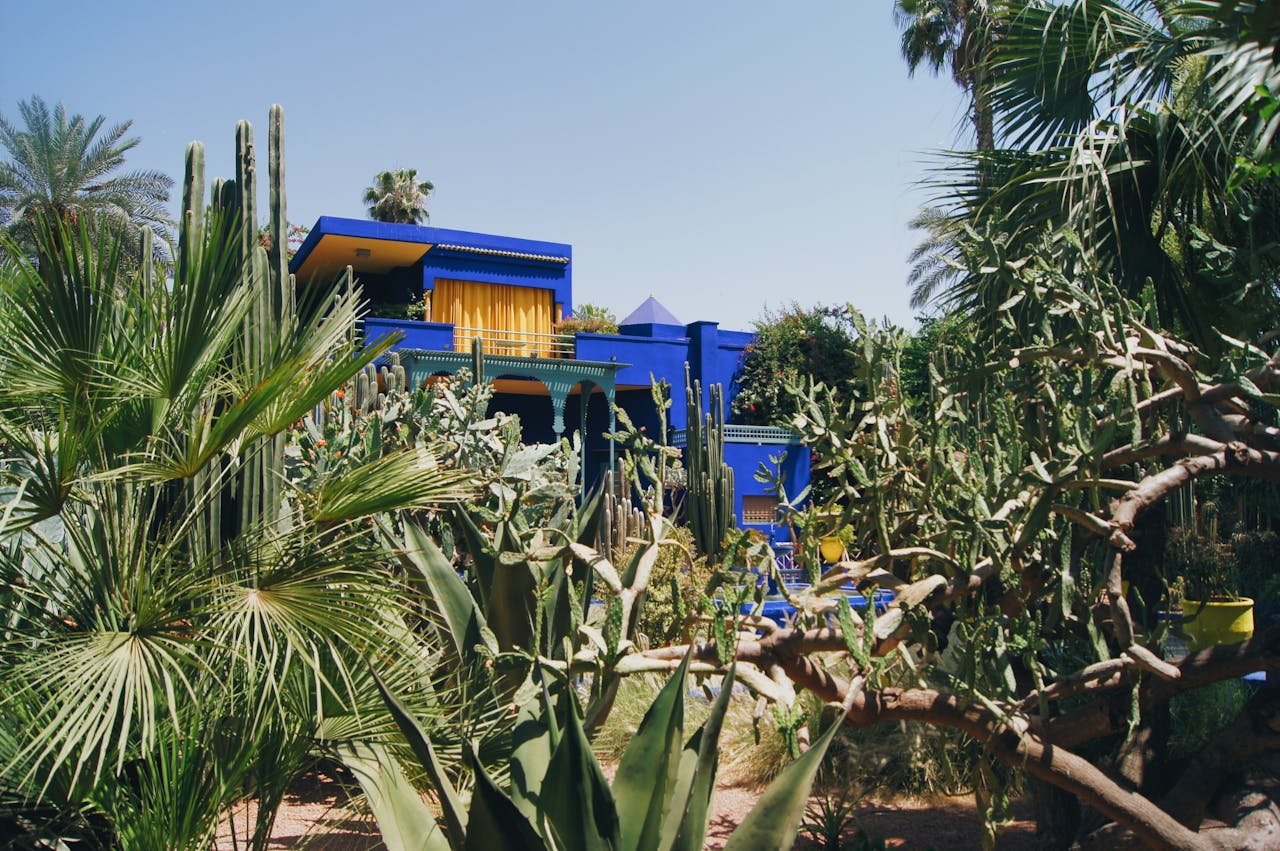 Guided Marrakech City Tour