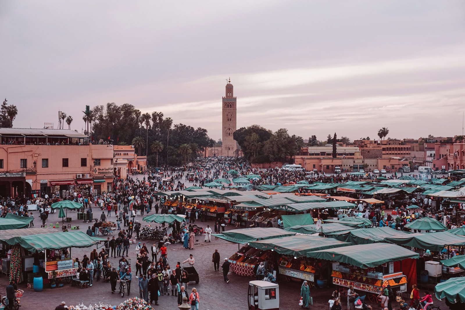 Casablanca to Marrakech – The Red City