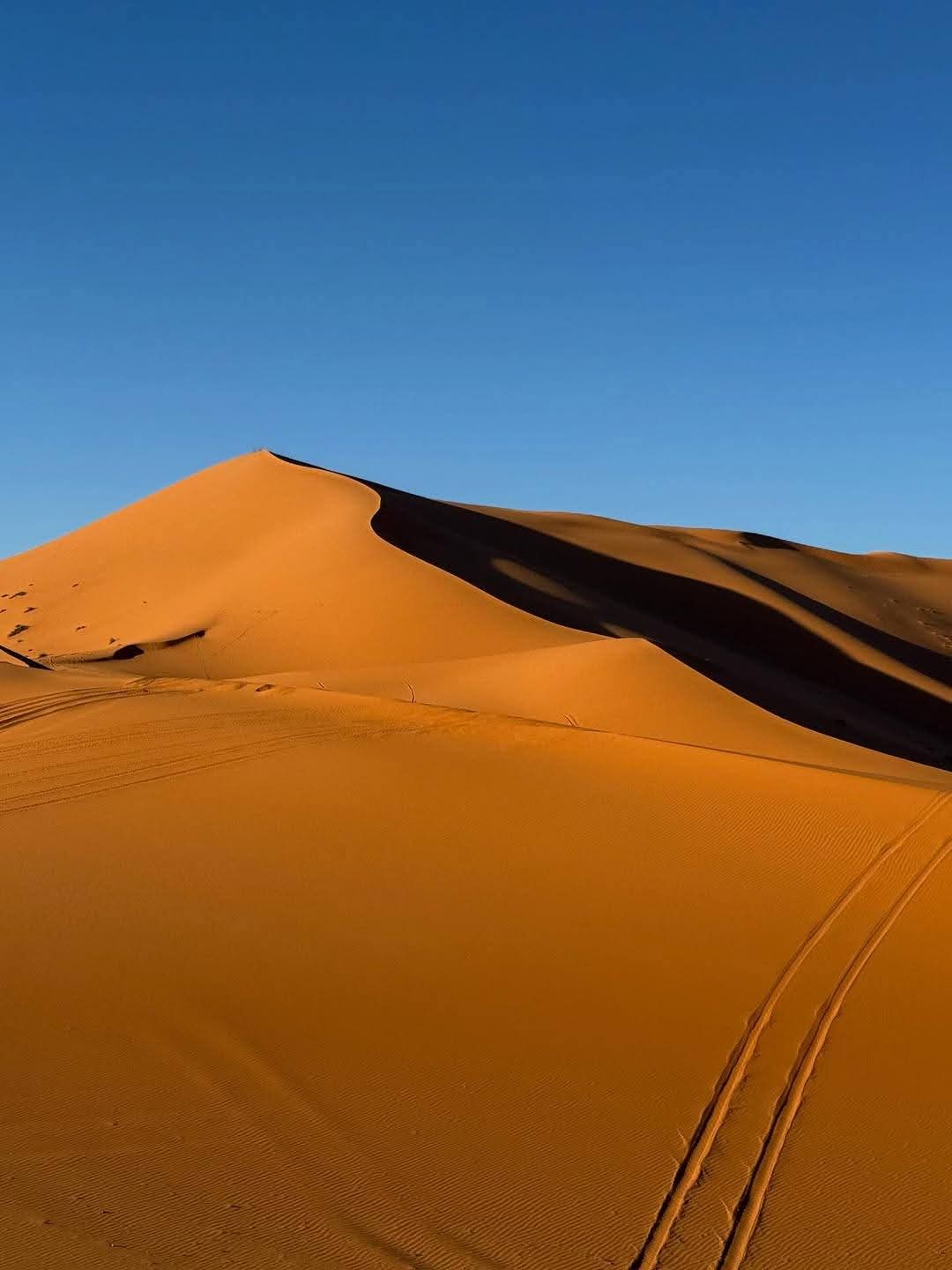 Merzouga Desert Exploration & Camel Trek