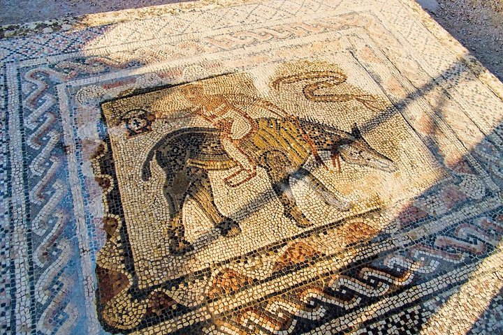Volubilis, Moulay Idriss & Meknes