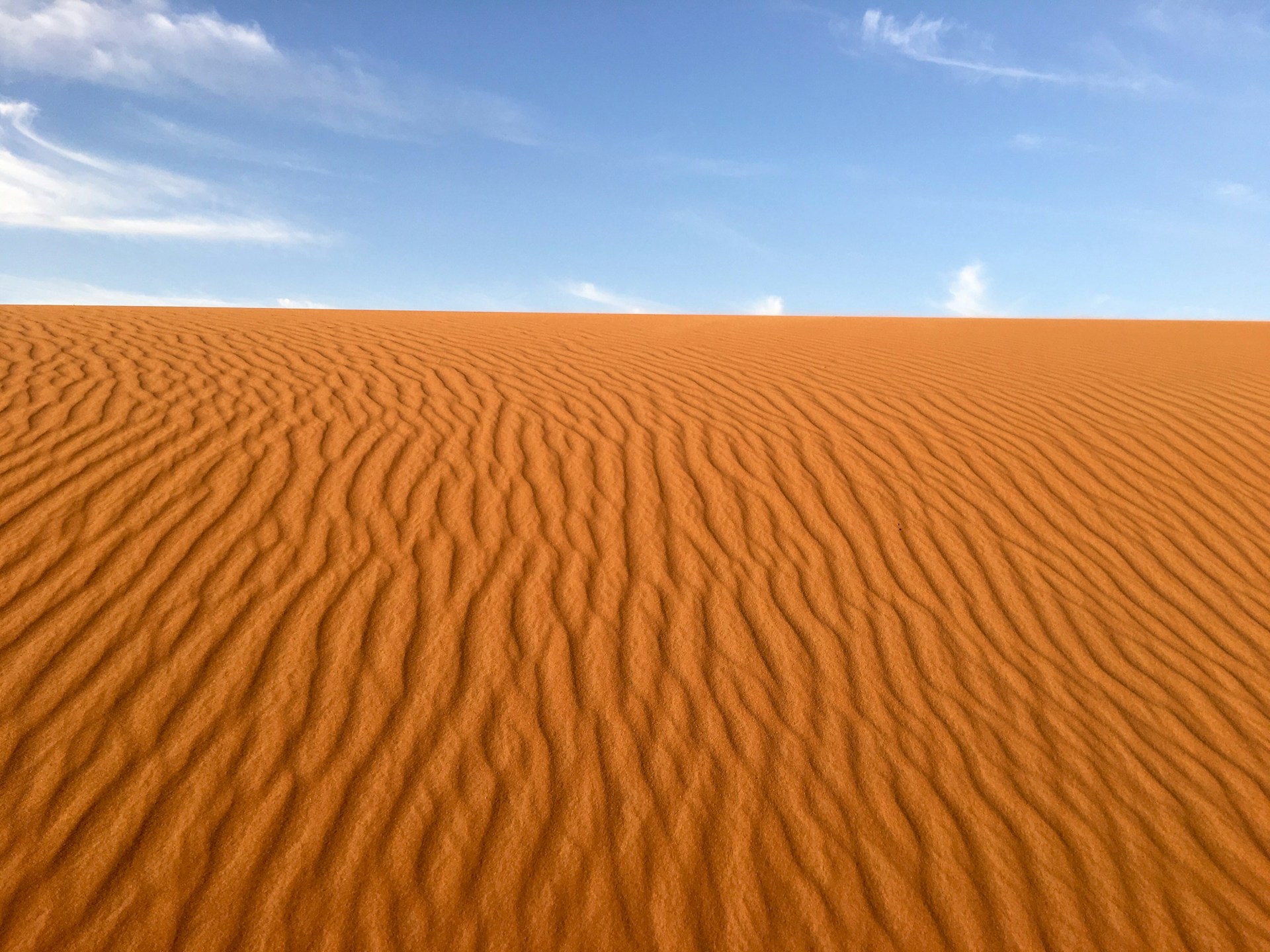 Merzouga Desert Exploration and Camel Trek