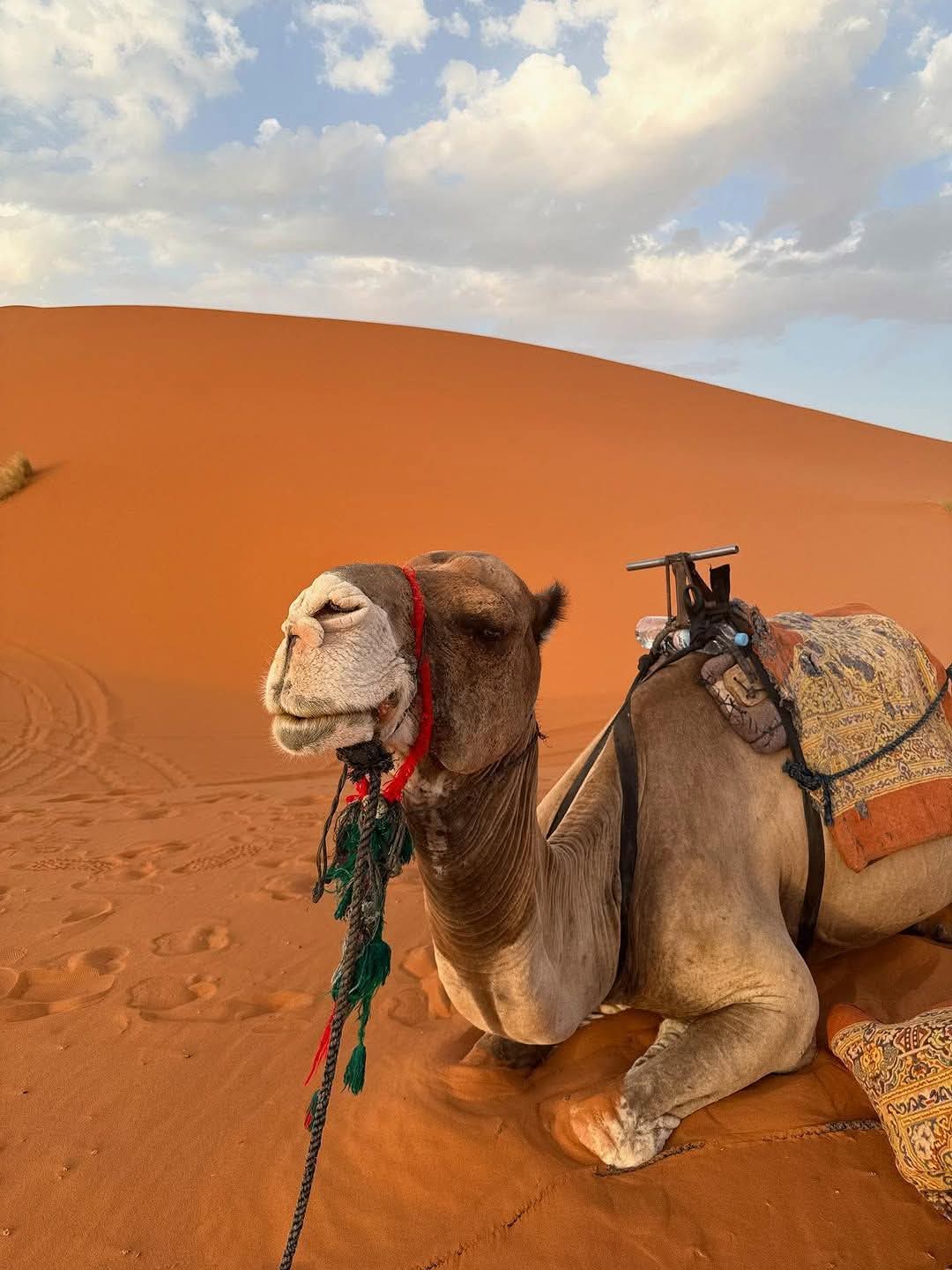 Merzouga Desert Exploration and Camel Trek