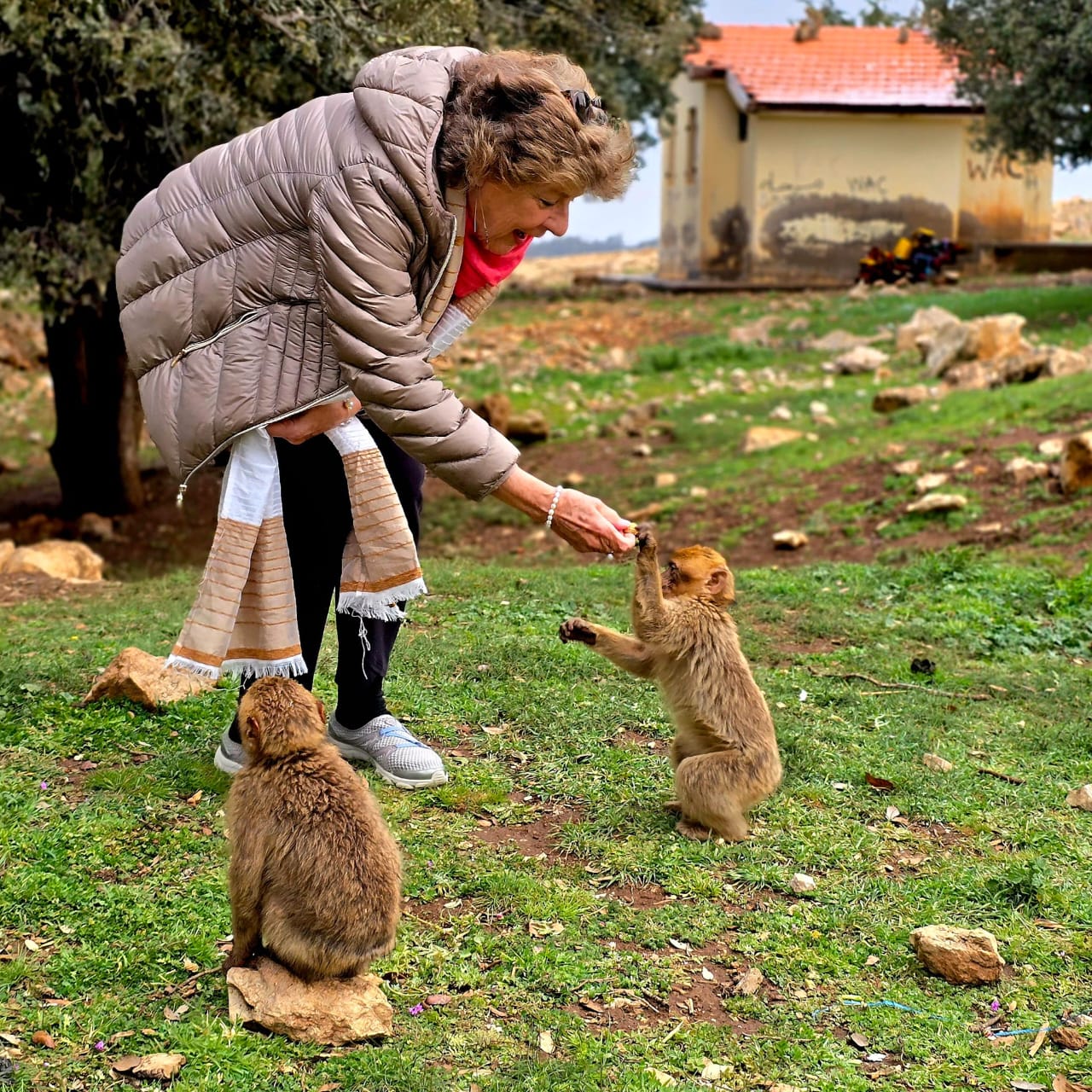 Fes – Middle Atlas – Ziz Valley – Merzouga