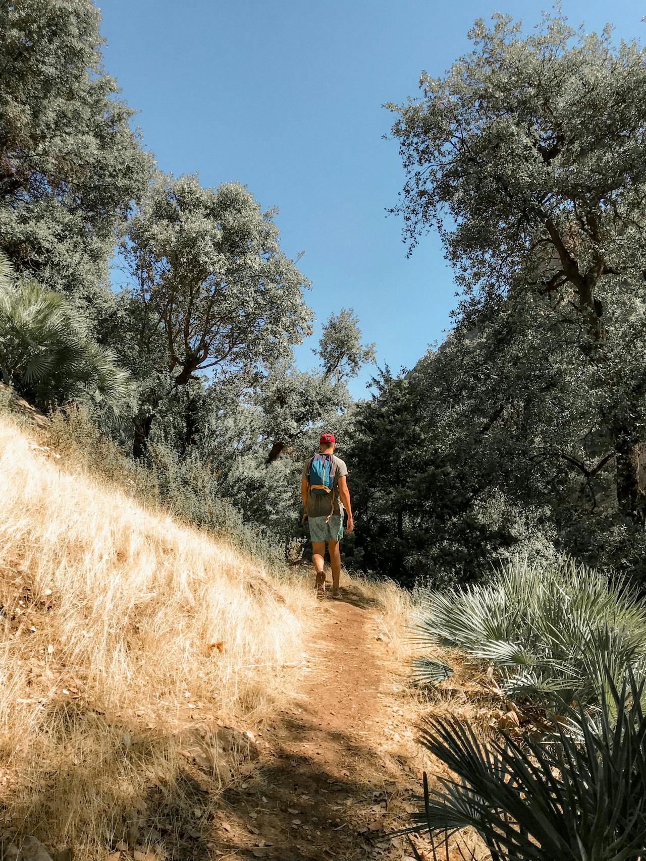 Taghazout – Ocean, Wellness & Adventure