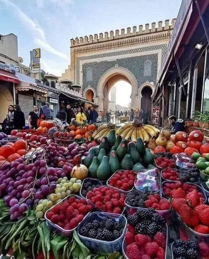 Imperial Fez & The Middle Atlas