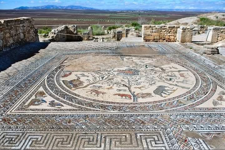The Imperial Pulse: Chefchaouen – Volubilis – Fes