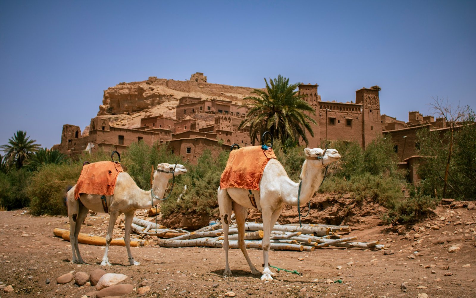 Marrakech Grand Moroccan Discovery A 10 Day Luxury Travel