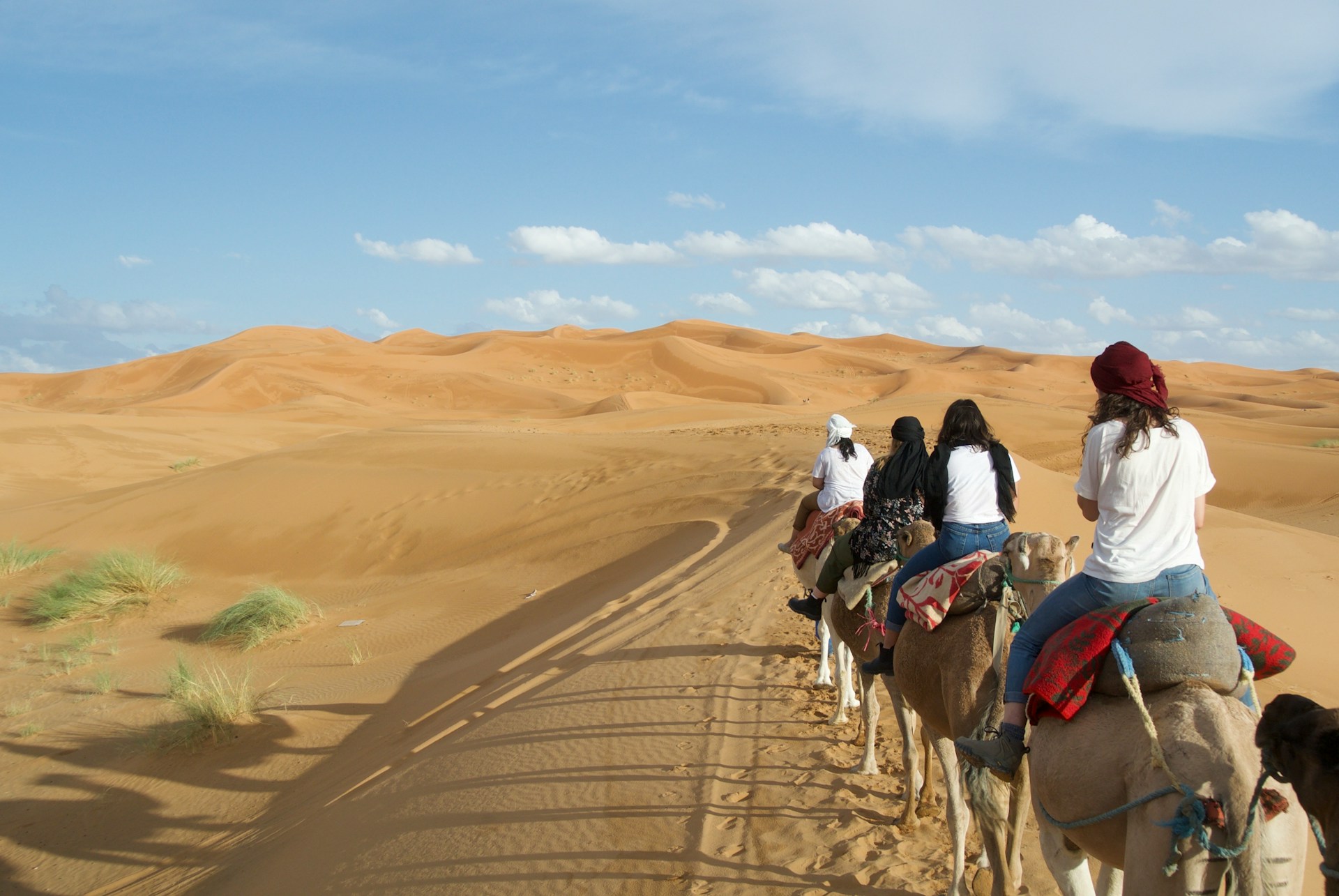 The Saharan Dream: 3-Day Luxury Merzouga Expedition Fes Round-Trip